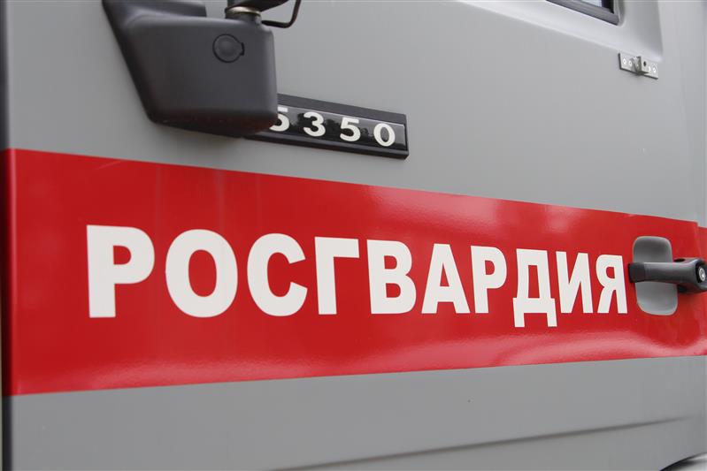 В Подмосковье сотрудники Росгвардии задержали находившегося в федеральном розыске мужчину