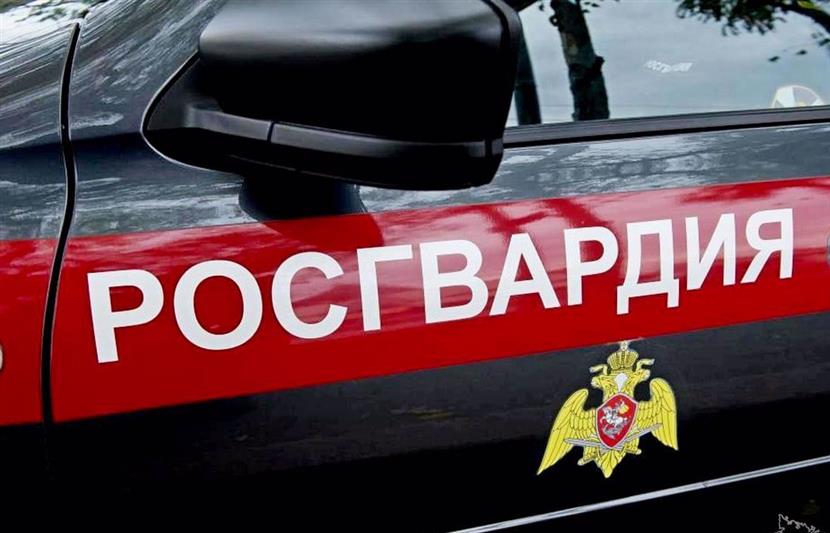 Сотрудники Росгвардия пресекли правонарушение в одном из севастопольских дошкольных учреждений