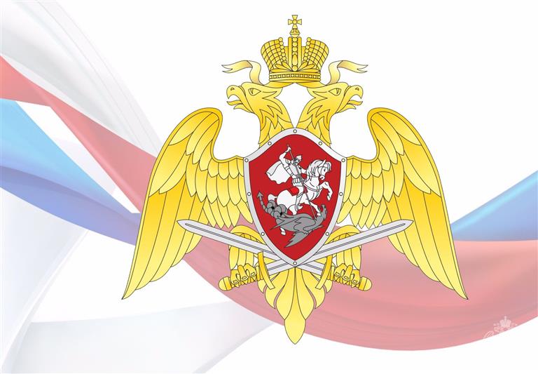 В Ярославле сотрудники Росгвардии и МЧС удержали женщину от необдуманного поступка