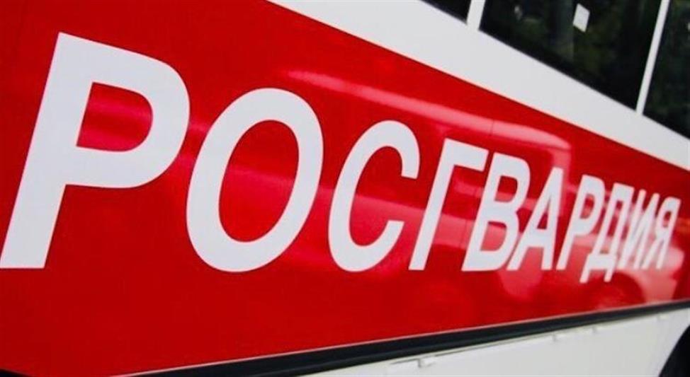 При участии Росгвардии в Ростовской области проходят рейды по пресечению нарушений миграционного законодательства