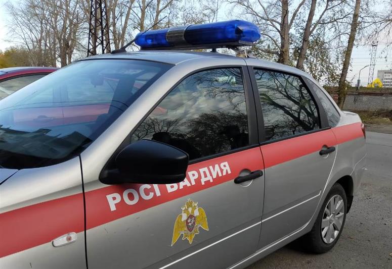 Подозреваемый в разбойном нападении задержан росгвардейцами в Челябинске