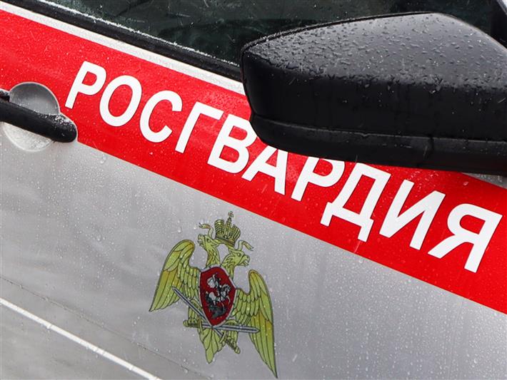 В Омской области сотрудники Росгвардии задержали виновника ДТП, скрывшегося с места аварии