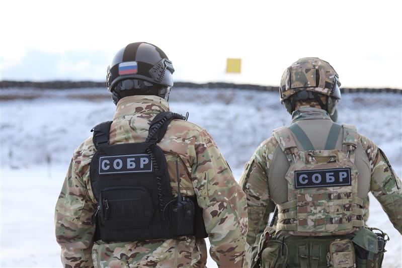 При содействии Росгвардии в Рязанской области задержан подозреваемый в организации незаконной рубки сосен