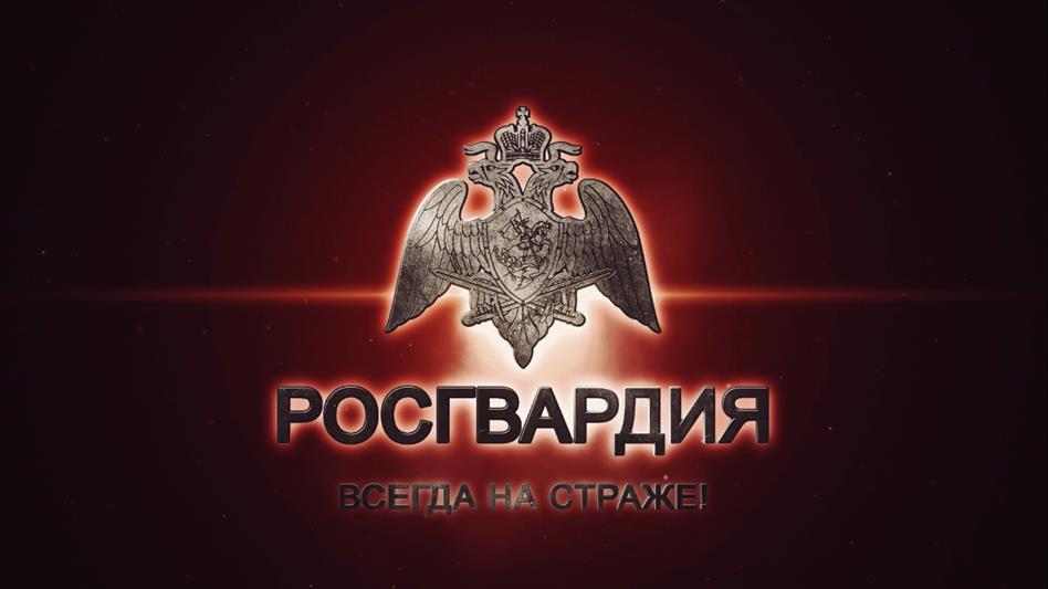 В двух городах Южного Урала сотрудники Росгвардии за сутки задержали правонарушителей, находившихся в федеральном розыске
