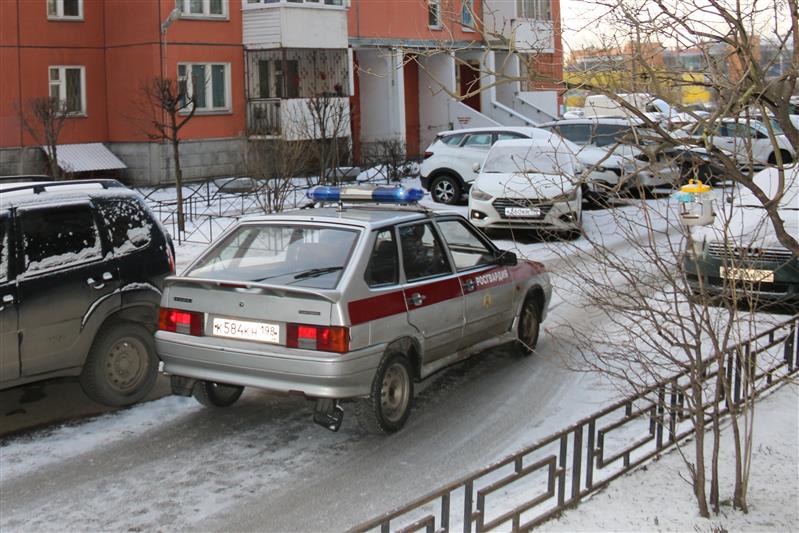 Сотрудниками Росгвардии в Санкт-Петербурге задержан мужчина, подозреваемый в угрозе убийством своей сожительнице