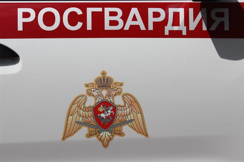 За сутки в Челябинске сотрудники Росгвардии задержали двух граждан, находившихся в федеральном розыске