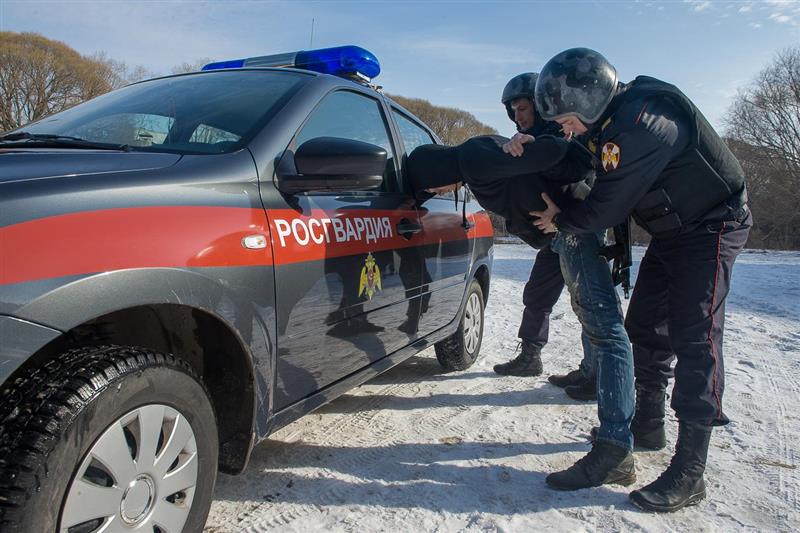 В Мурманской области сотрудники Росгвардии задержали водителя, скрывшегося с места ДТП