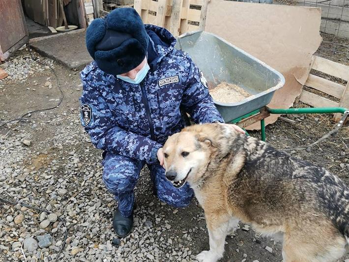 В Кузбассе военнослужащие Росгвардии продолжают помогать приюту для бездомных животных
