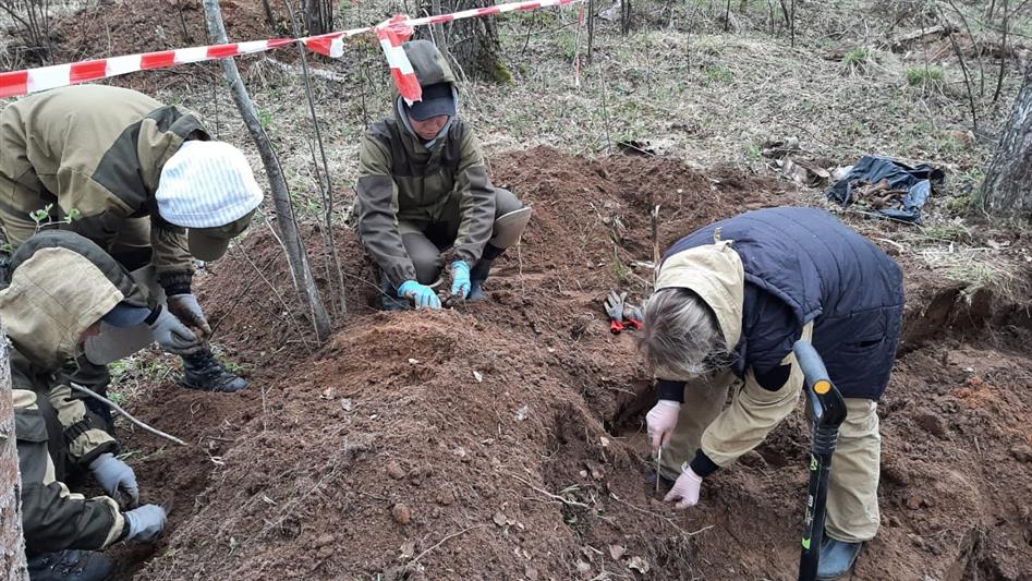 В ходе экспедиции, проводимой в Тверской области при поддержке Росгвардии, поисковики подняли останки более 200 красноармейцев