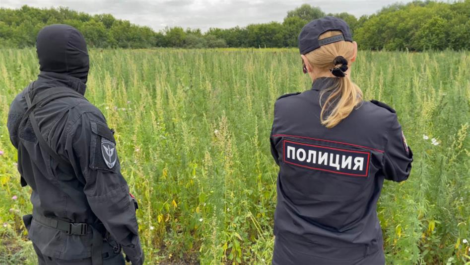 При содействии ОМОН Росгвардии в Челябинской области задержан мужчина, засеявшего более двух гектаров семенами конопли