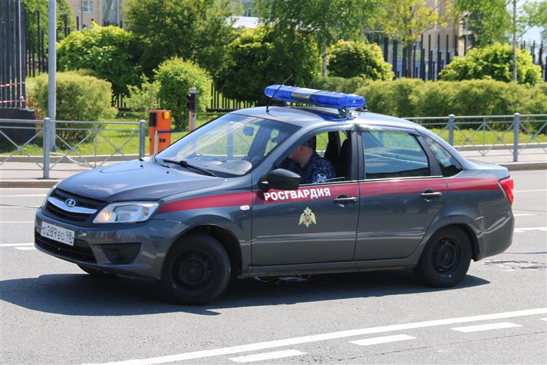 Наряд вневедомственной охраны Росгвардии задержал в Северной столице разыскиваемого правонарушителя