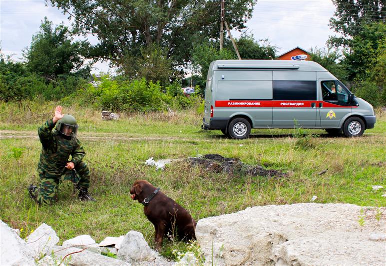 Взрывотехники ОМОН Росгвардии уничтожили боеприпас времён Великой Отечественной войны, обнаруженный в Тахтамукайском районе Адыгеи