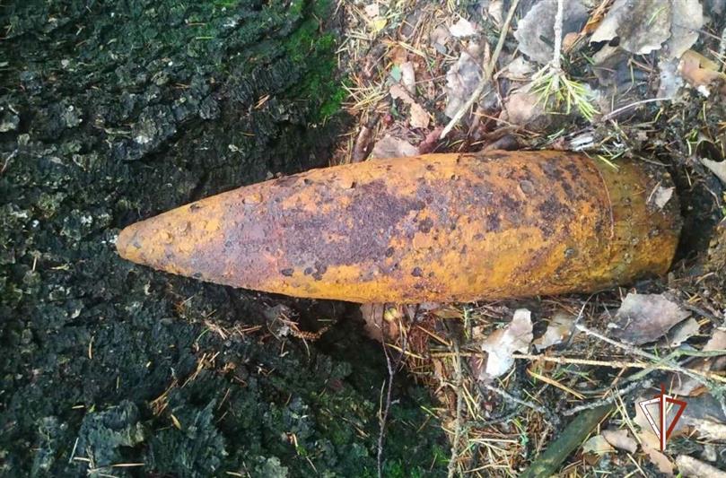 Взрывотехники ОМОН Росгвардии уничтожили боеприпас, обнаруженный под Тобольском