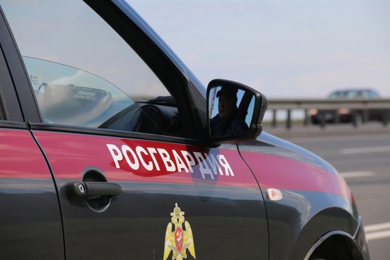 Росгвардейцы задержали нетрезвого водителя, устроившего ДТП в Свердловской области
