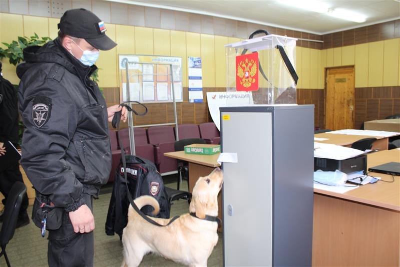 Северо-Западный округ Росгвардии участвует в обеспечении безопасности на избирательных участках