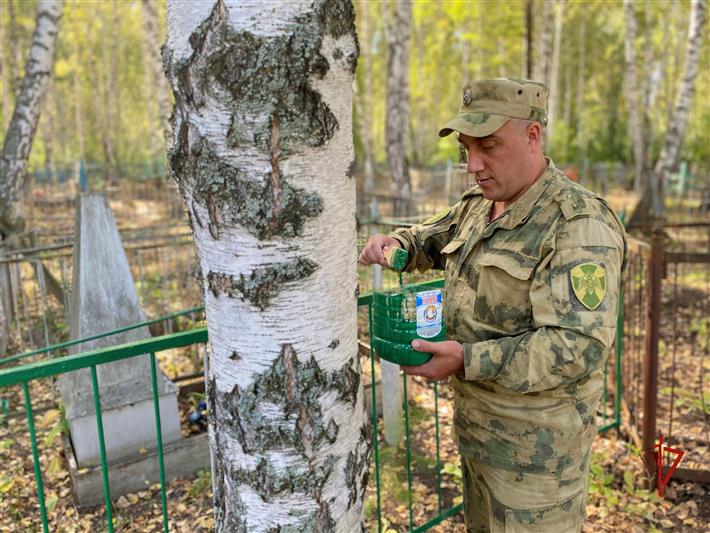Росгвардейцы продолжают облагораживать места захоронений фронтовиков в Томске