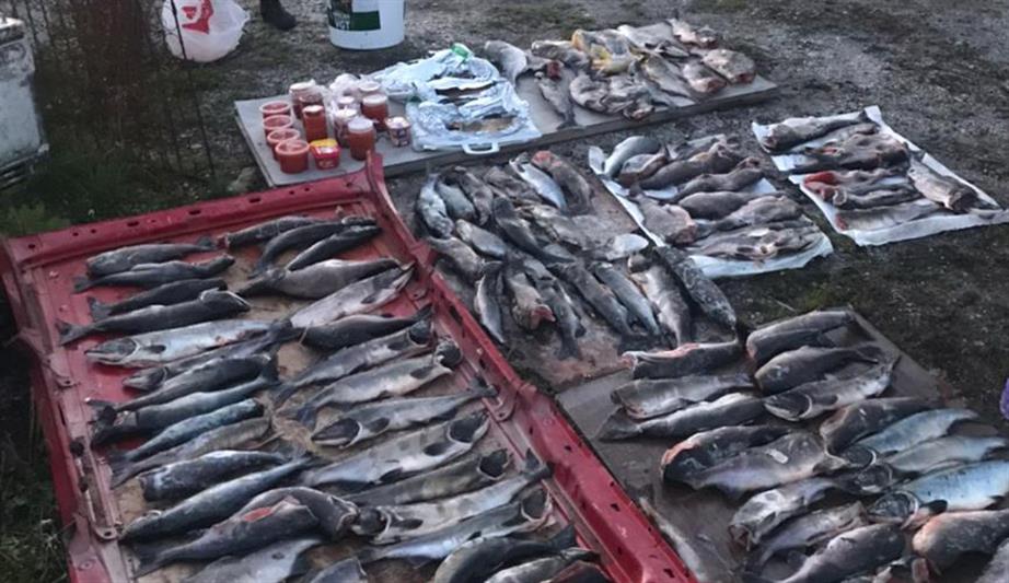 Сотрудники карельского ОМОН оказали содействие агентству по рыболовству