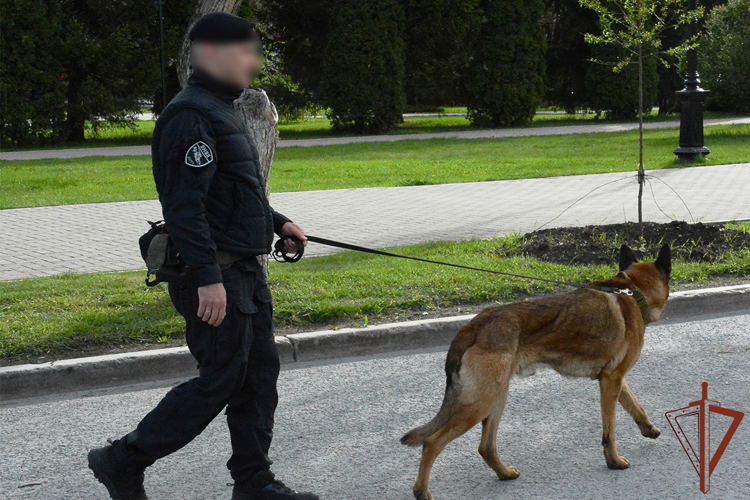 На Урале Росгвардия обеспечила безопасность выпускных вечеров и мероприятий ко Дню молодёжи