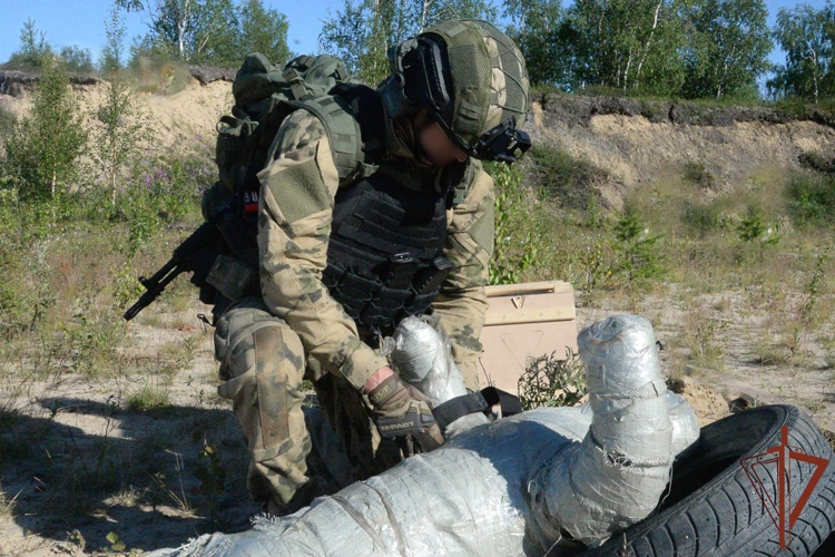 Сотрудники спецподразделений Росгвардии и ФСИН провели совместные учения в арктическом регионе (видео)