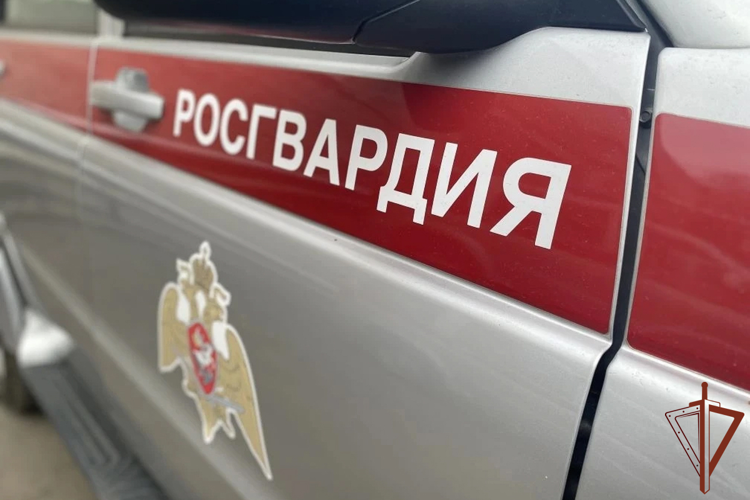 В Челябинской области росгвардейцы помогли найти пропавшего ребенка