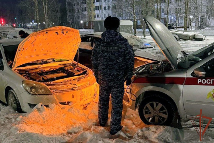 В Югре сотрудники Росгвардии оказали помощь водителям и пассажирам в сложных погодных условиях