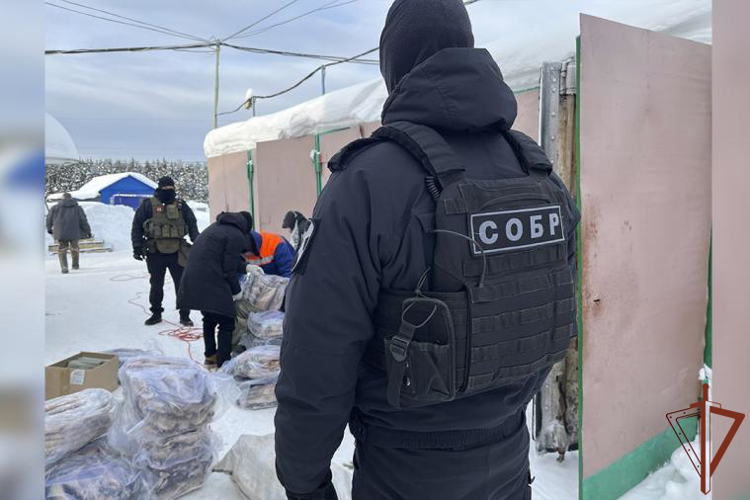 В Коми СОБР Росгвардии оказал силовую поддержку полицейским во время изъятия около 13 тонн немаркированной мороженой рыбы