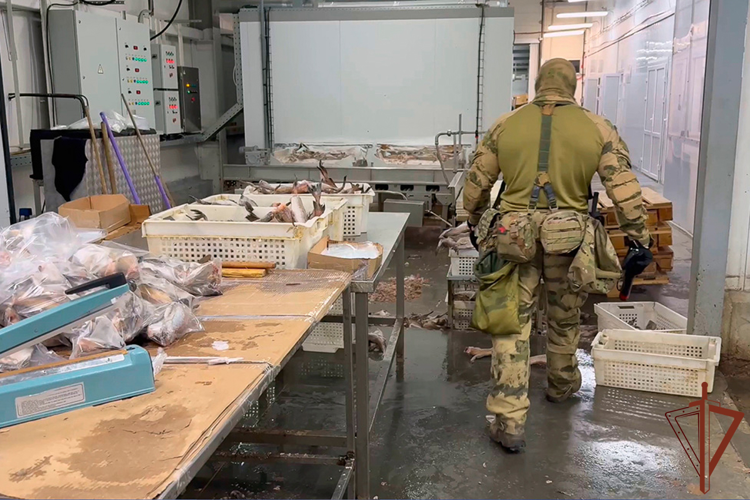 В Уральском округе Росгвардии подведены итоги участия спецподразделений в операции «Нелегал-2026» (видео)
