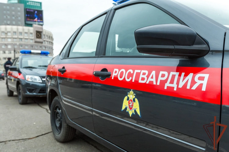 Итоги работы подразделений вневедомственной охраны и лицензионно-разрешительной работы Росгвардии подвели в регионах Урала