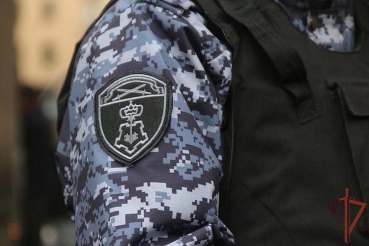 Росгвардейцы нашли потерявшегося семилетнего мальчика в Псковской области