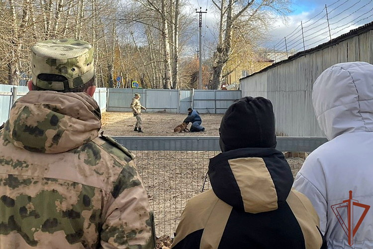 Кинологи Уральского округа Росгвардии исполнили мечту юного жителя Тюмени