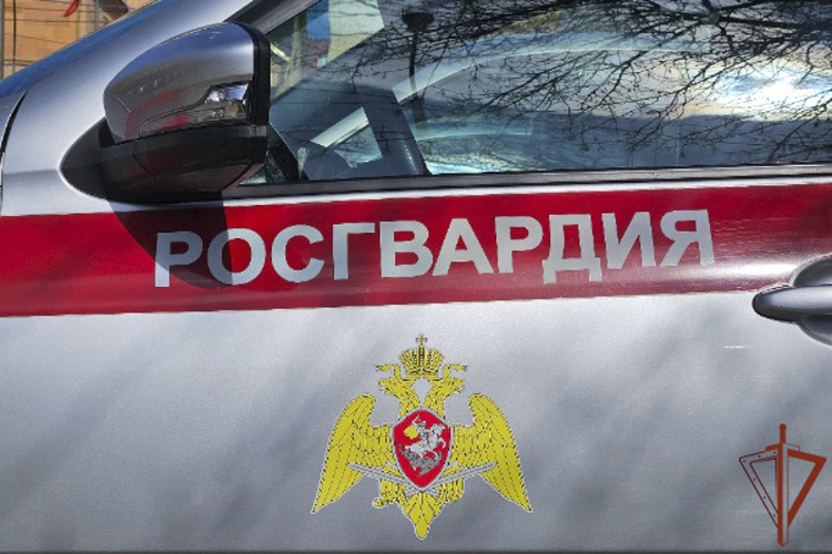 Подозреваемых в групповом грабеже задержали росгвардейцы в Светлограде