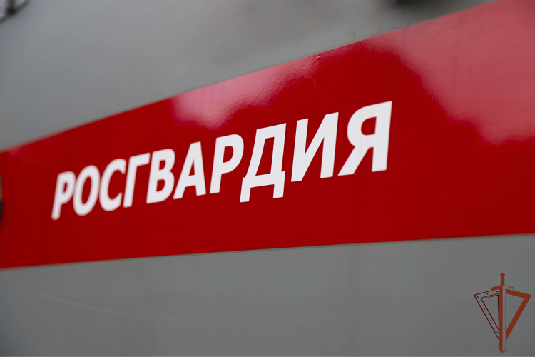 В Тульской области росгвардейцы пресекли незаконный оборот наркосодержащих растений и взрывчатых веществ