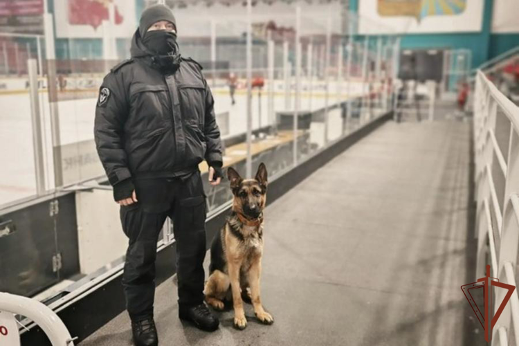 В Череповце сотрудники Росгвардии обеспечили безопасность хоккейного матча «Северсталь» – «Авангард»