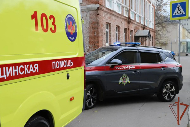 В Москве росгвардейцы оказали помощь гражданину, попавшему в ДТП (видео)