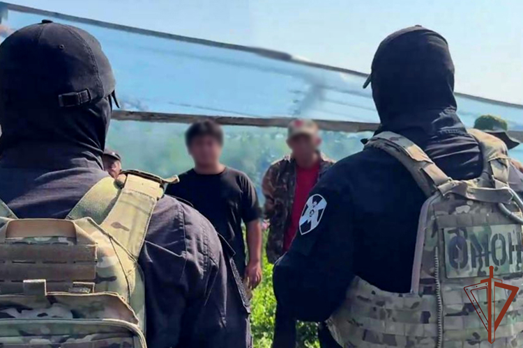 Более 120 нарушений миграционного законодательства выявлено при содействии Росгвардии в Тюменской области