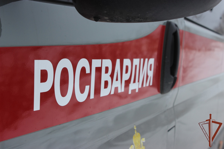 В Челябинской области сотрудники вневедомственной охраны Росгвардии задержали подозреваемых в убийстве и грабеже