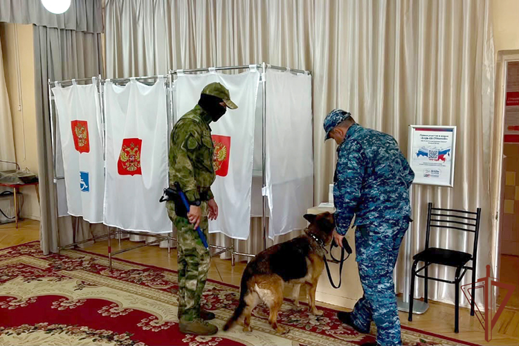 Росгвардейцы обеспечили правопорядок на выборах Президента Южной Осетии во Владикавказе