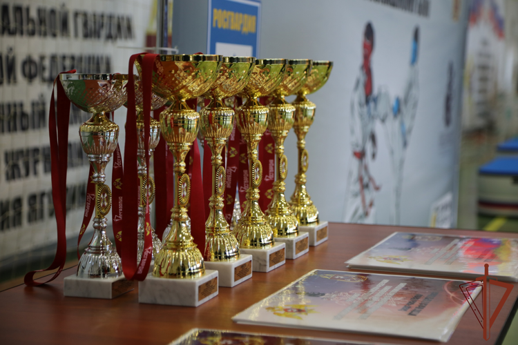 Чемпионат Росгвардии по рукопашному бою памяти Анатолия Ягодина состоялся в Нижнем Новгороде (видео)