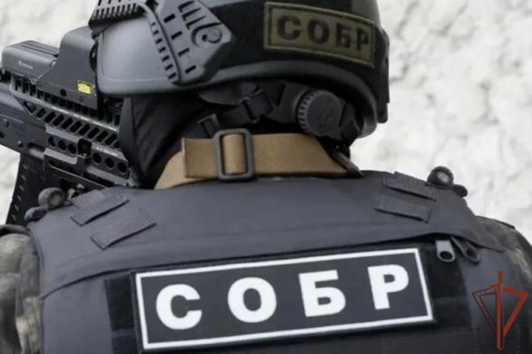 Подозреваемые в совершении мошеннических действий с социальными выплатами задержаны в Ярославской области при содействии Росгвардии