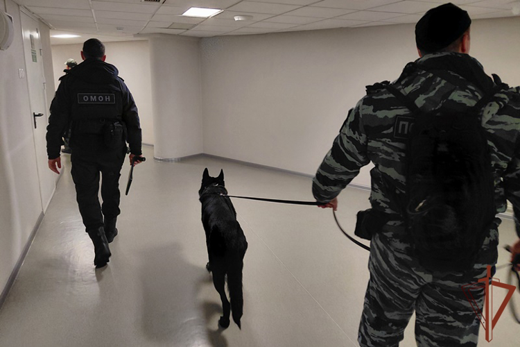 Росгвардия в Красноярске обеспечила безопасность международного турнира по борьбе