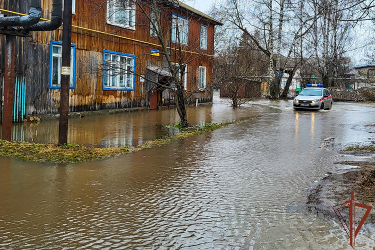 Росгвардия обеспечивает безопасность в период весеннего половодья в Республике Марий Эл (видео)