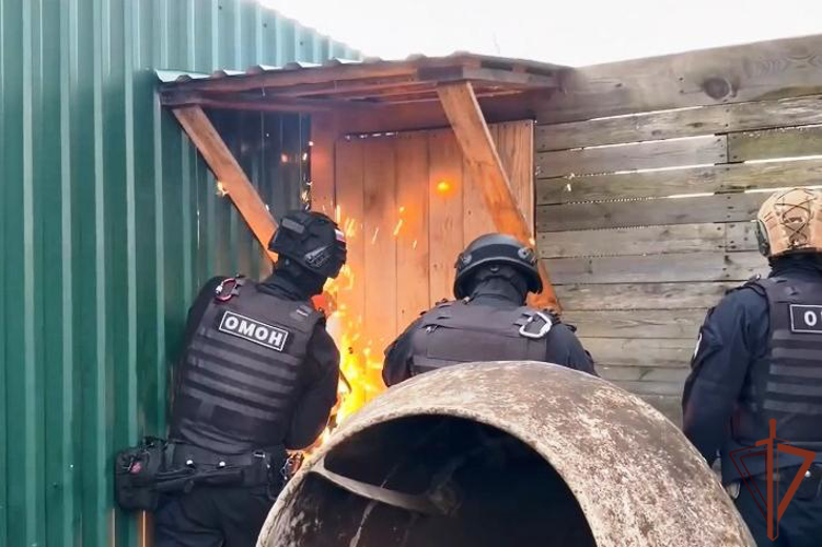 Подозреваемый в незаконном обороте наркотиков задержан при содействии спецназа Росгвардии в Нижнем Новгороде (видео)