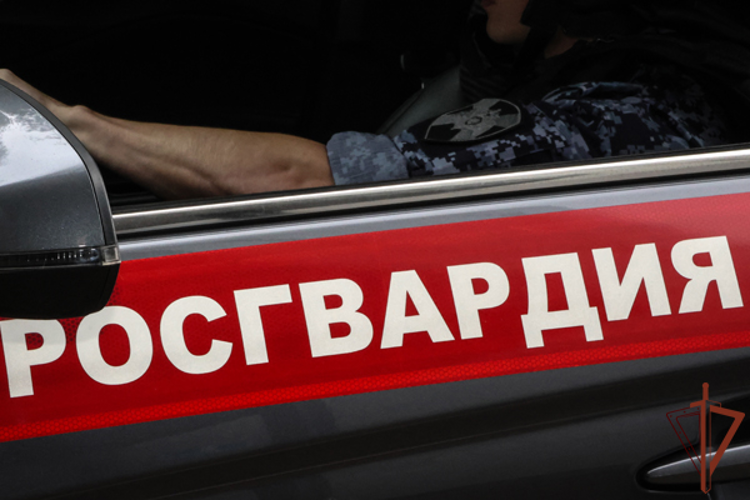 В подмосковном Чехове сотрудники вневедомственной охраны по горячим следам задержали злоумышленника, проникшего в чужую квартиру (видео)