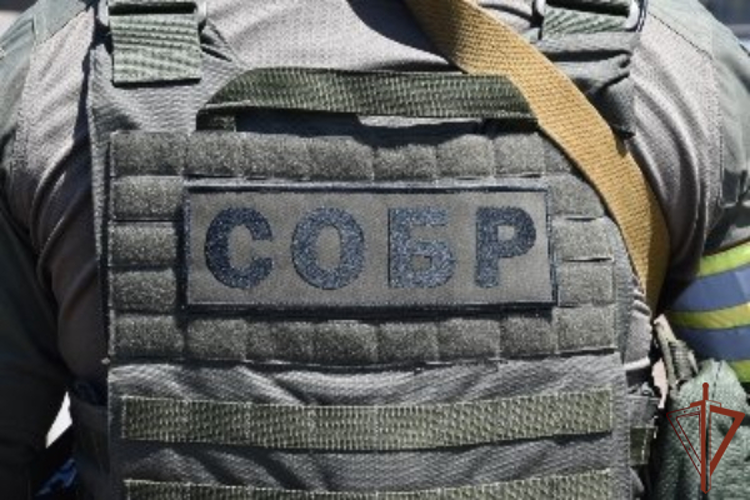 В Дагестане при участии Росгвардии задержан подозреваемый в содействии терроризму
