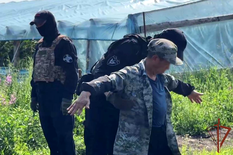 Более 120 нарушений миграционного законодательства выявлено при содействии Росгвардии в Тюменской области