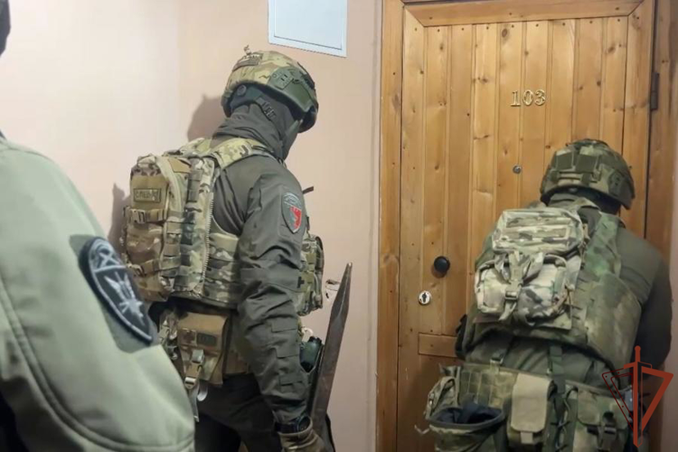 В Санкт-Петербурге и Ленинградской области при содействии СОБР и ОМОН Росгвардии пресечена деятельность преступной группы, совершавшей мошенничества в сфере страхования