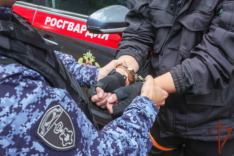 Во Владикавказе росгвардейцы задержали вооруженного ножом агрессивного мужчину