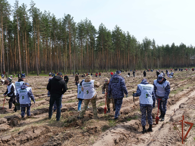 Росгвардейцы приняли участие в акции «Сад памяти» в Тамбовской области