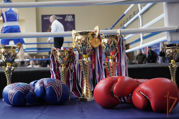 Чемпионат Южного округа Росгвардии по боксу прошел в Ростове-на-Дону