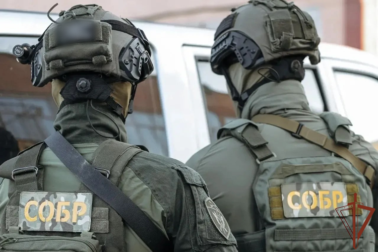 Противоправная деятельность сотрудников налогового органа в Новосибирске пресечена при содействии СОБР Росгвардии (видео)
